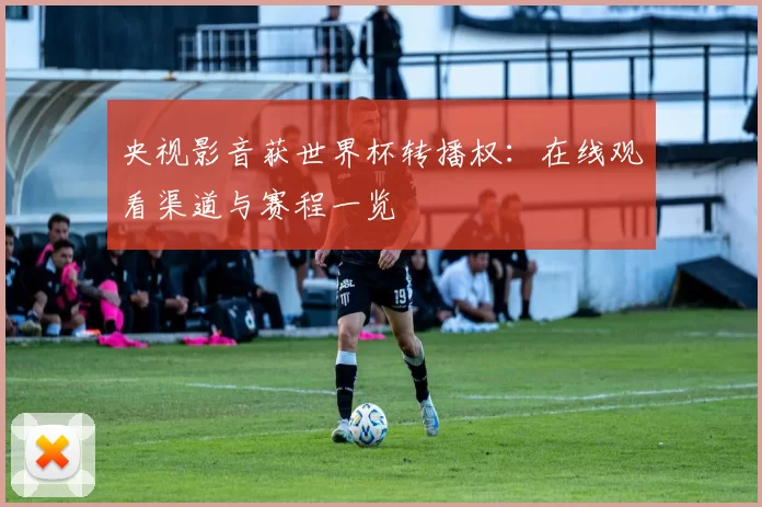 央视影音获世界杯转播权:在线观看渠道与赛程一览