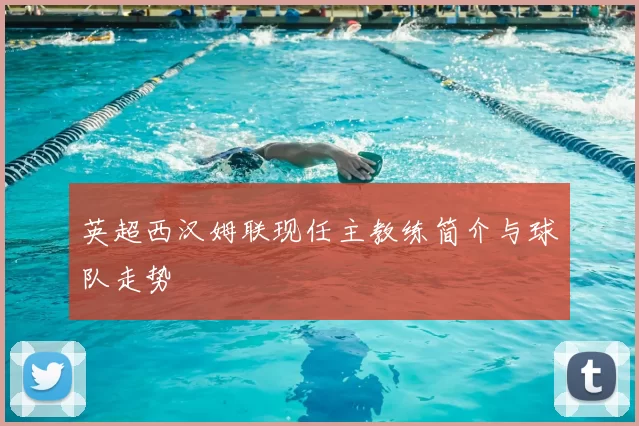 英超西汉姆联现任主教练简介与球队走势