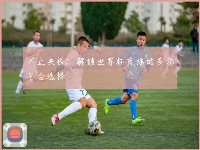 不止央视：解锁世界杯直播的多元平台选择