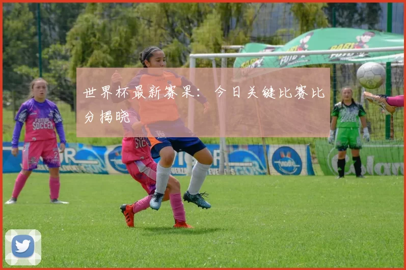 世界杯最新赛果：今日关键比赛比分揭晓