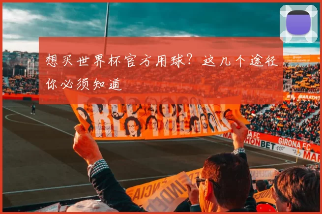 想买世界杯官方用球？这几个途径你必须知道