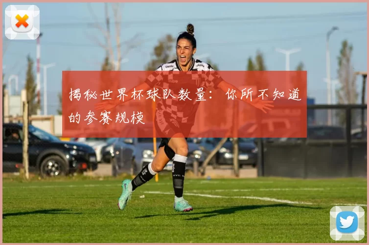 揭秘世界杯球队数量:你所不知道的参赛规模