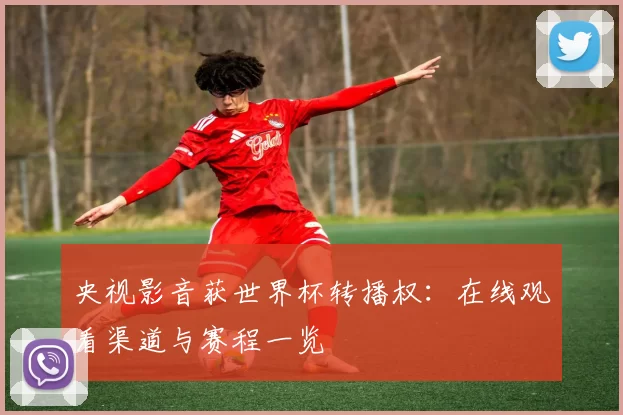 央视影音获世界杯转播权：在线观看渠道与赛程一览
