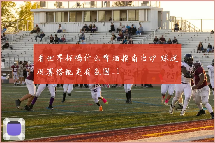 看世界杯喝什么啤酒指南出炉 球迷观赛搭配更有氛围_1