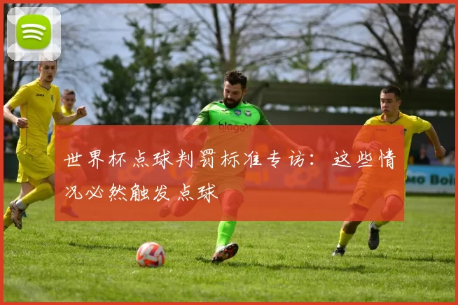 世界杯点球判罚标准专访：这些情况必然触发点球