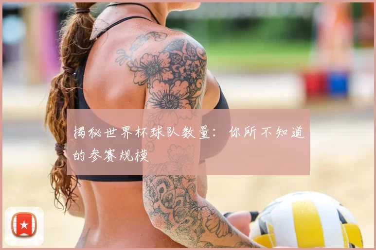 揭秘世界杯球队数量：你所不知道的参赛规模