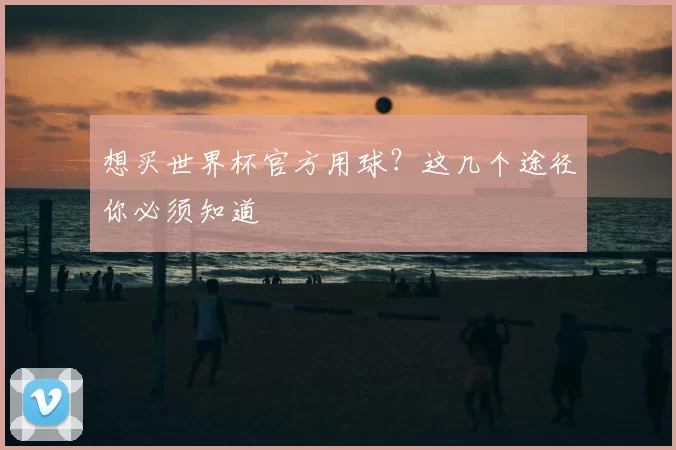 想买世界杯官方用球?这几个途径你必须知道